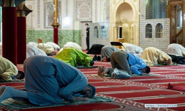 وحدة المنشأ البشري